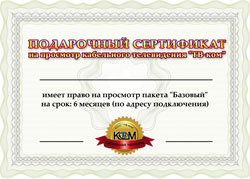 Сертификат 6 месяцев